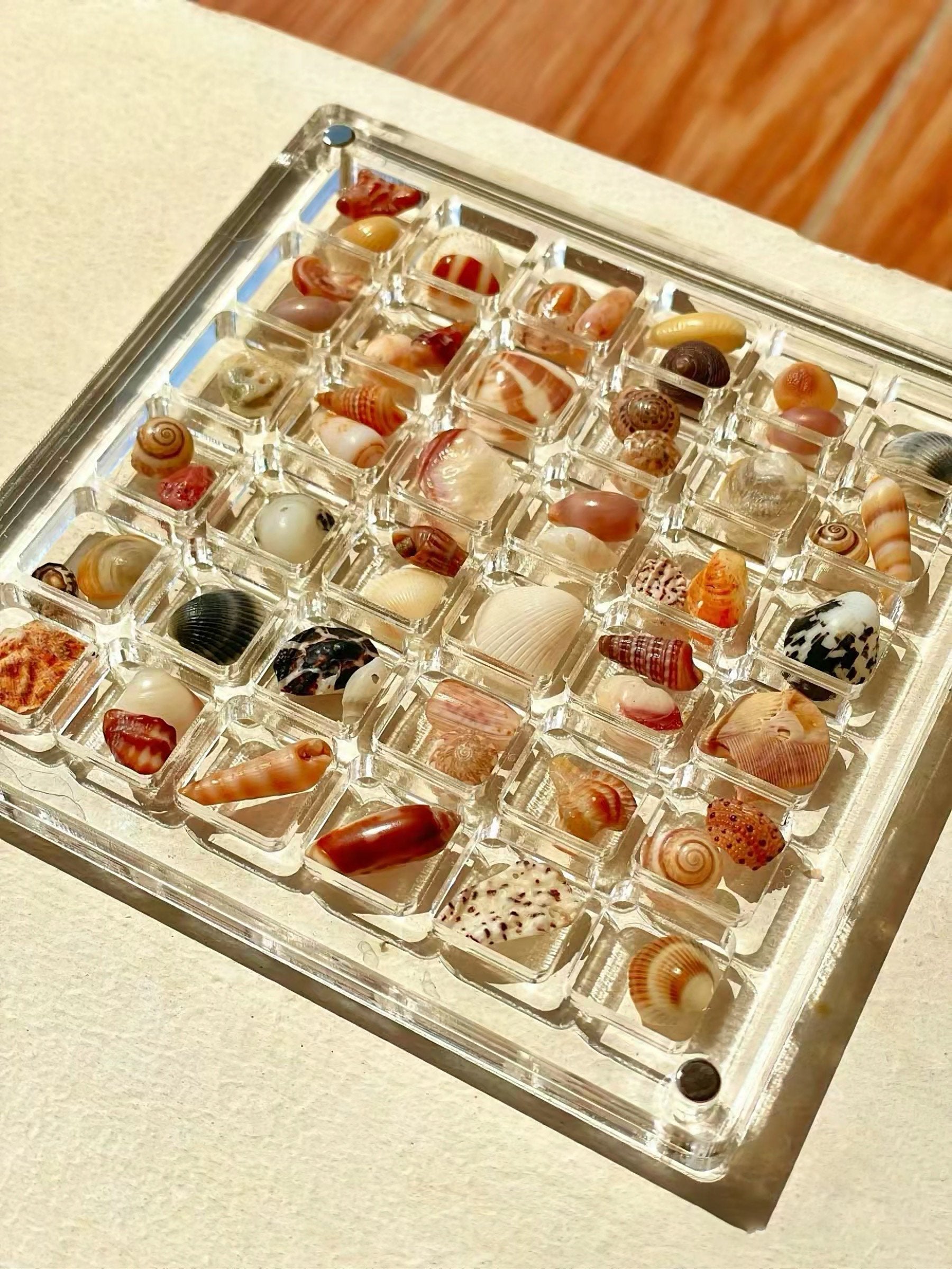 (⭐️⭐️⭐️⭐️⭐️2024 Spring Hot Sale🎁)-Acrylic Magnetic Seashell Display Box