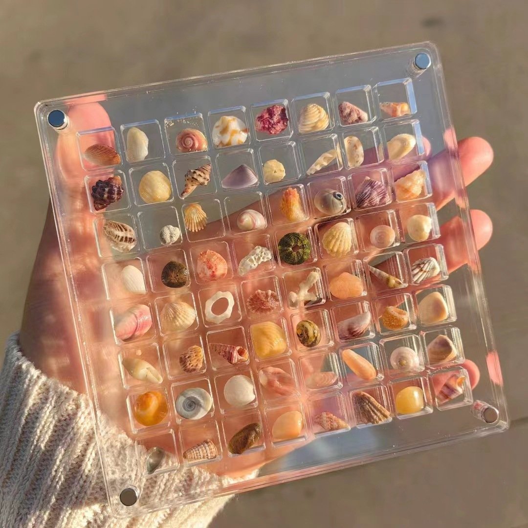 (⭐️⭐️⭐️⭐️⭐️2024 Spring Hot Sale🎁)-Acrylic Magnetic Seashell Display Box